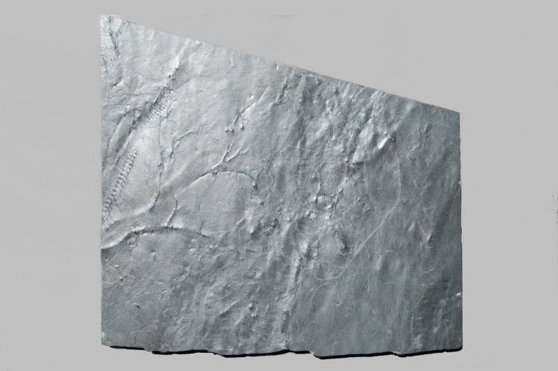 Gastrocrinus giganteus, Bundenbach