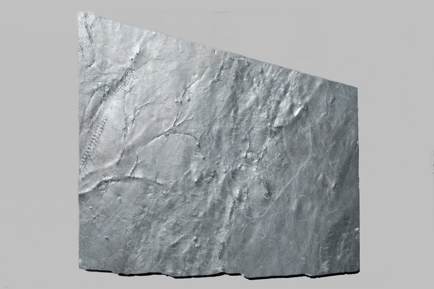 Gastrocrinus giganteus, Bundenbach