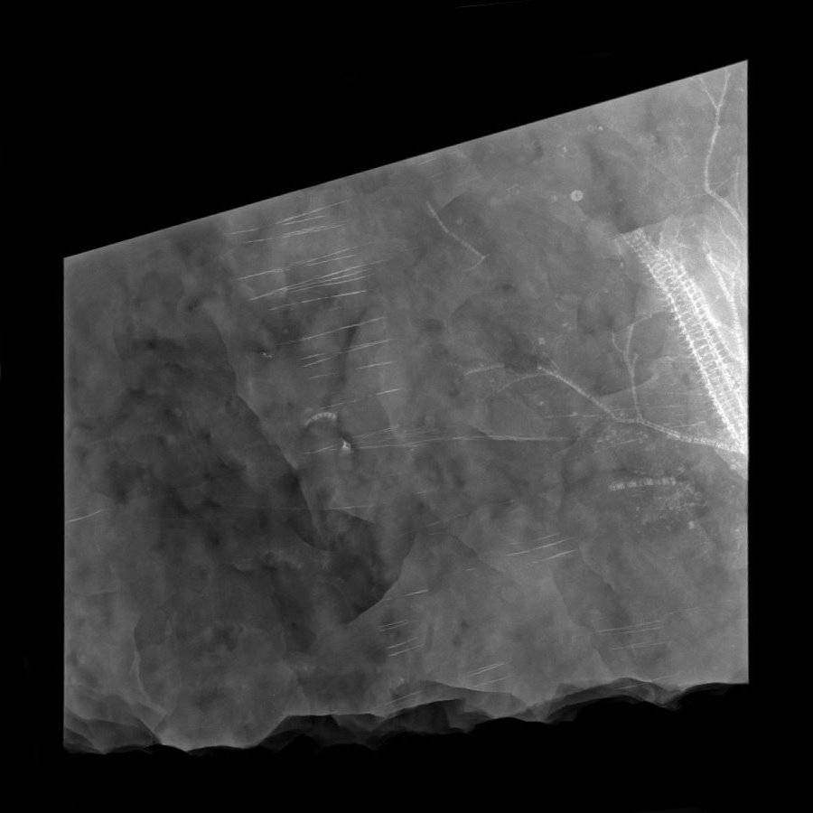 Gastrocrinus giganteus, Bundenbach