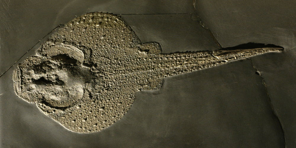 Bundenbach_Gemuendina_stuertzi