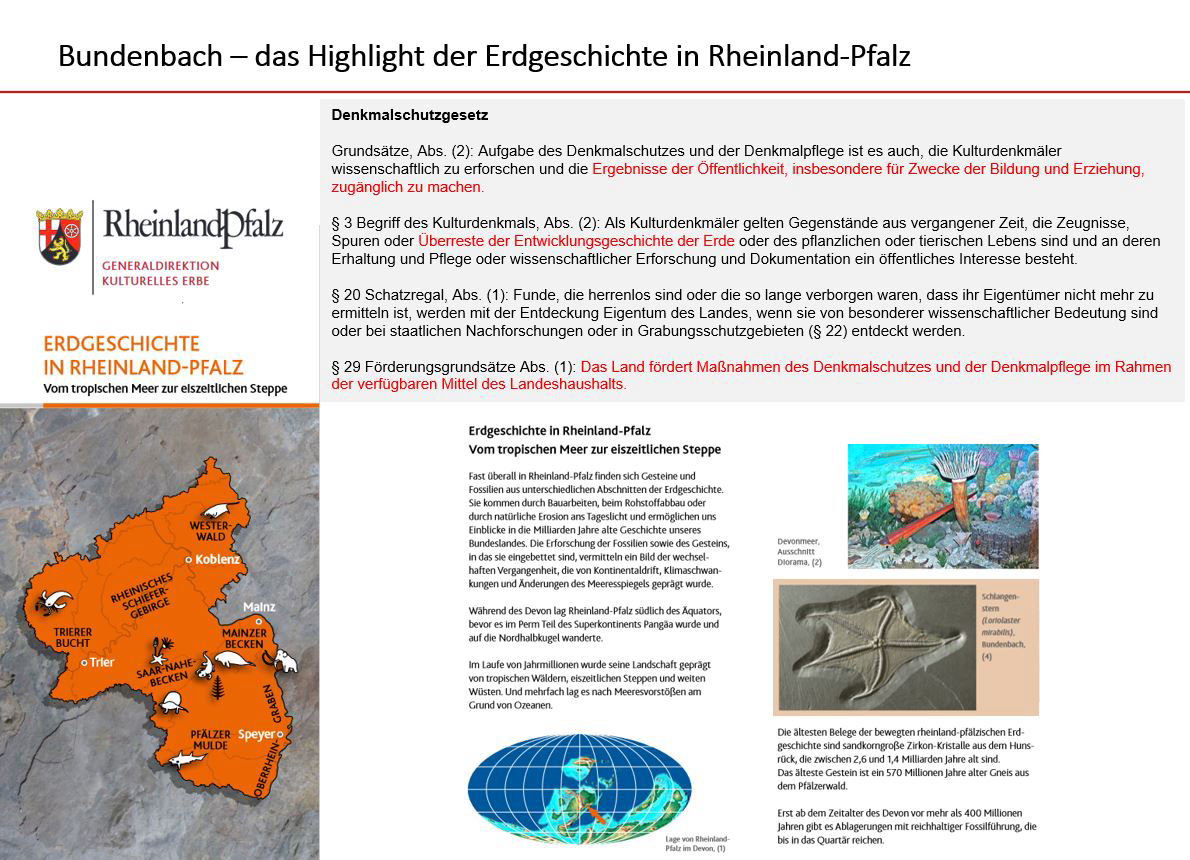 Bundenbach-Fossilien_Museum_06