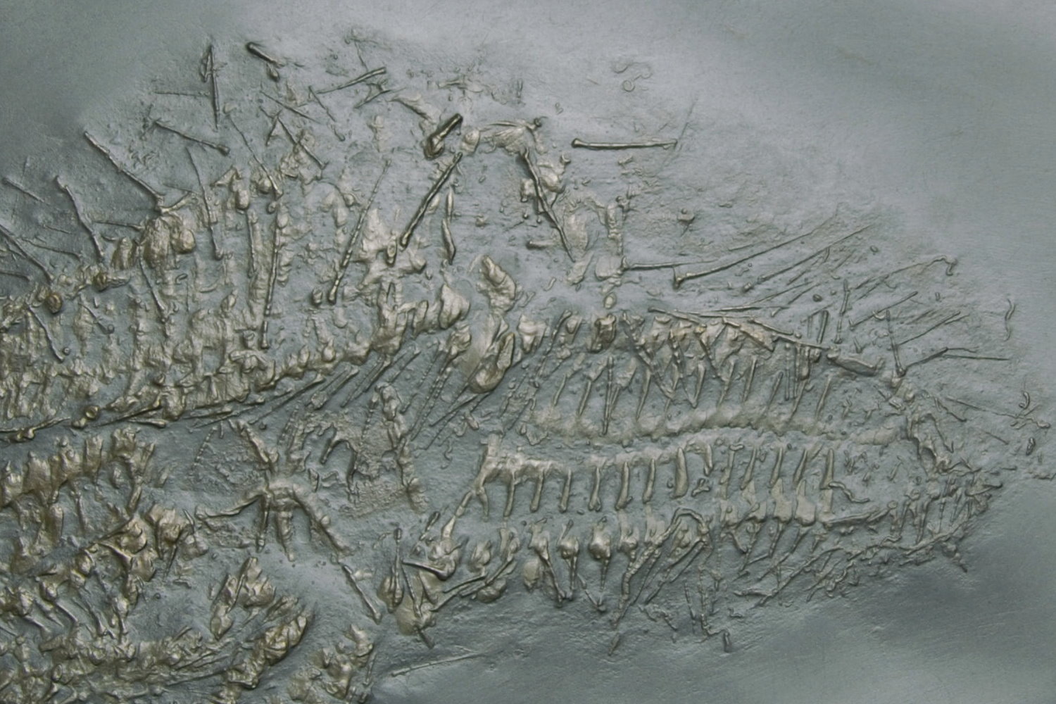 Hystrigaster_horridus_Bundenbach_Detail