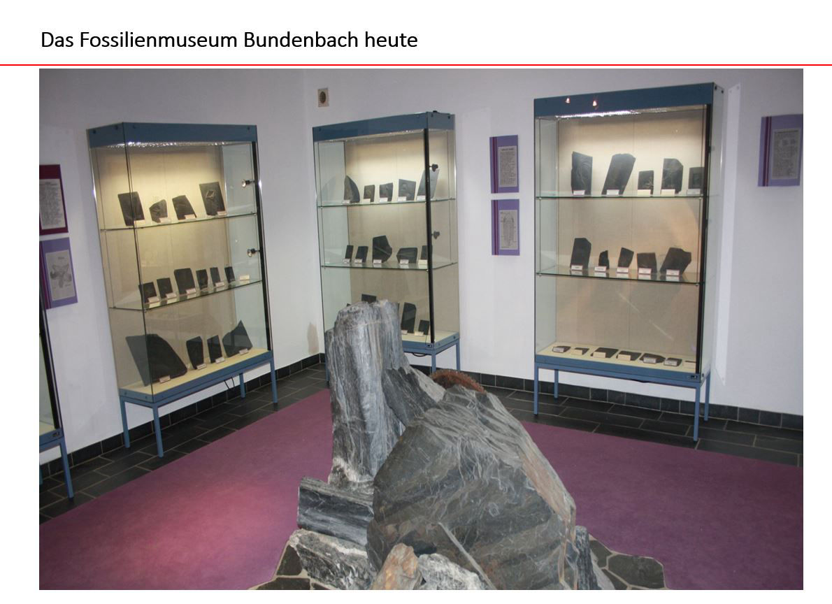 Bundenbach-Fossilien_Museum_08