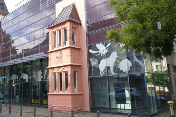 Bundenbach-Fossilien_Museum_NHM Mainz_Ansicht