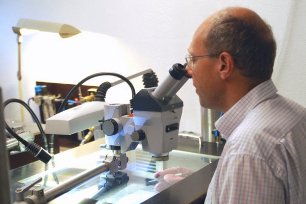 Conularia_Bundenbach_zoom Bundenbach-Fossilien_Präparation_2