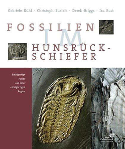 Fossilien im Hunsrück-Schiefer_Einzigartige Funde aus einer einzigartigen Region
