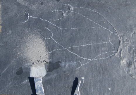 Bundenbach Präparation