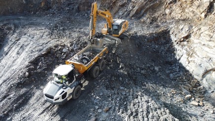 Bundenbach_Fossilien_Frühberg