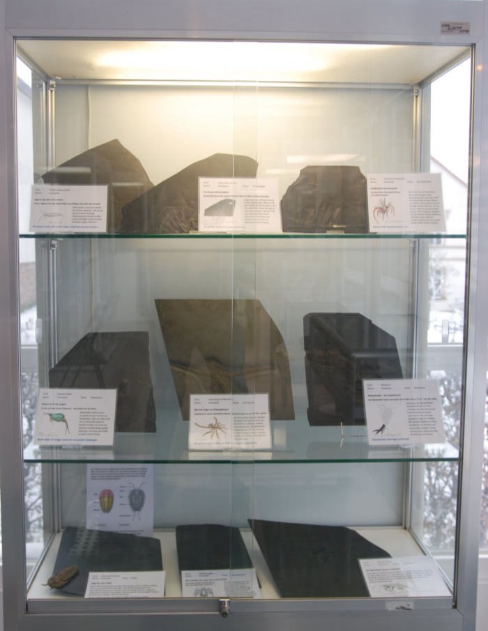 Bundenbach-Ausstellung_Vitrine 1